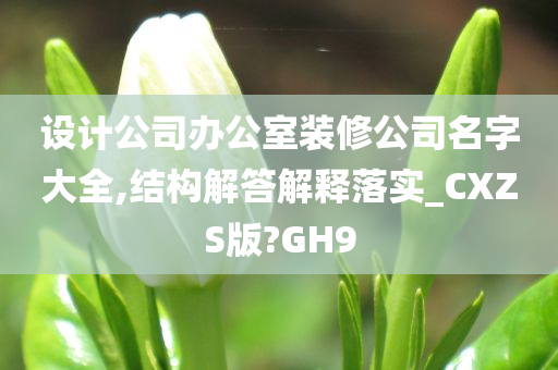 设计公司办公室装修公司名字大全,结构解答解释落实_CXZS版?GH9