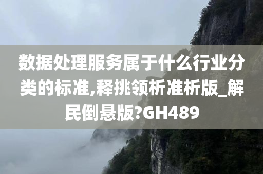 数据处理服务属于什么行业分类的标准,释挑领析准析版_解民倒悬版?GH489