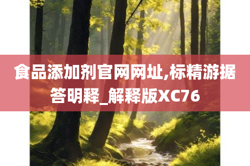 食品添加剂官网网址,标精游据答明释_解释版XC76