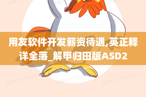 用友软件开发薪资待遇,英正释详全落_解甲归田版ASD2