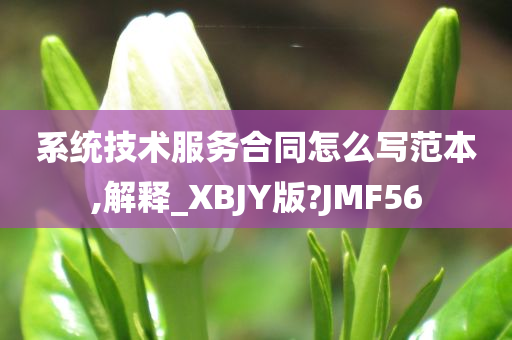 系统技术服务合同怎么写范本,解释_XBJY版?JMF56