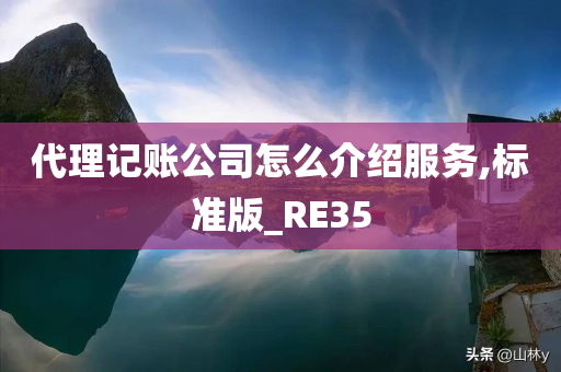 代理记账公司怎么介绍服务,标准版_RE35