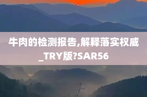 牛肉的检测报告,解释落实权威_TRY版?SAR56