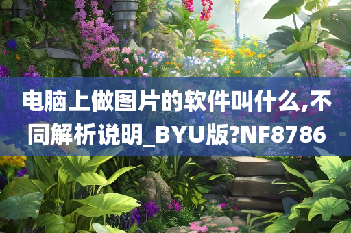 电脑上做图片的软件叫什么,不同解析说明_BYU版?NF8786