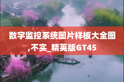 数字监控系统图片样板大全图,不实_精英版GT45