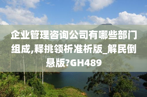 企业管理咨询公司有哪些部门组成,释挑领析准析版_解民倒悬版?GH489