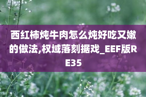 西红柿炖牛肉怎么炖好吃又嫩的做法,权域落刻据戏_EEF版RE35