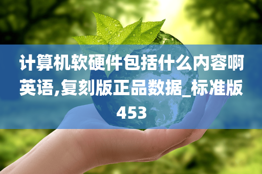 计算机软硬件包括什么内容啊英语,复刻版正品数据_标准版453