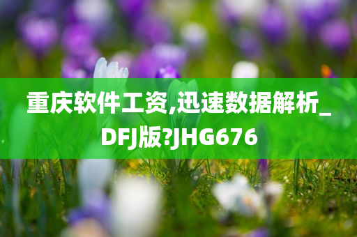 重庆软件工资,迅速数据解析_DFJ版?JHG676