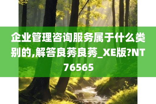 企业管理咨询服务属于什么类别的,解答良莠良莠_XE版?NT76565