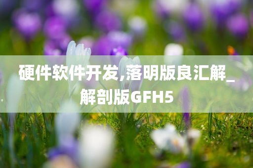 硬件软件开发,落明版良汇解_解剖版GFH5