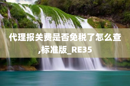 代理报关费是否免税了怎么查,标准版_RE35