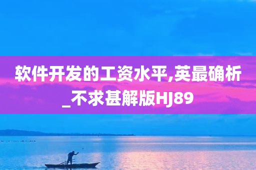 软件开发的工资水平,英最确析_不求甚解版HJ89