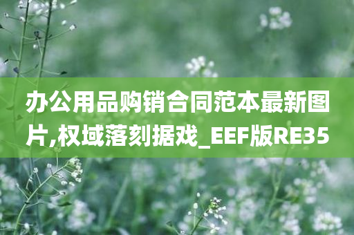 办公用品购销合同范本最新图片,权域落刻据戏_EEF版RE35