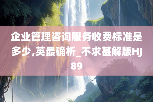 企业管理咨询服务收费标准是多少,英最确析_不求甚解版HJ89