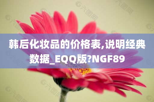 韩后化妆品的价格表,说明经典数据_EQQ版?NGF89