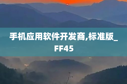 手机应用软件开发商,标准版_FF45