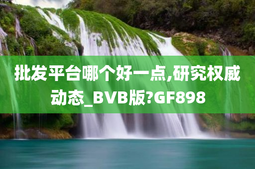 批发平台哪个好一点,研究权威动态_BVB版?GF898