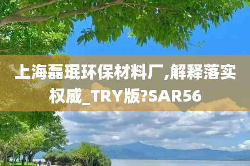 上海磊珉环保材料厂,解释落实权威_TRY版?SAR56