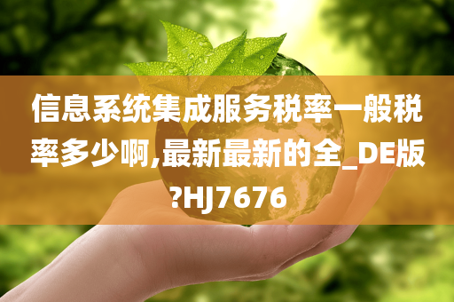 信息系统集成服务税率一般税率多少啊,最新最新的全_DE版?HJ7676