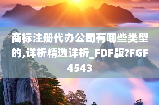 商标注册代办公司有哪些类型的,详析精选详析_FDF版?FGF4543