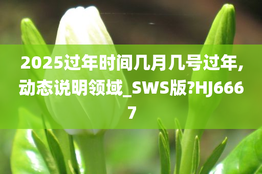 2025过年时间几月几号过年,动态说明领域_SWS版?HJ6667