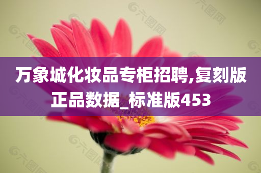 万象城化妆品专柜招聘,复刻版正品数据_标准版453