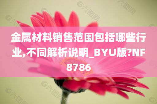 金属材料销售范围包括哪些行业,不同解析说明_BYU版?NF8786