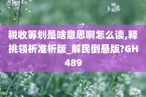 税收筹划是啥意思啊怎么读,释挑领析准析版_解民倒悬版?GH489