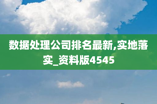 数据处理公司排名最新,实地落实_资料版4545