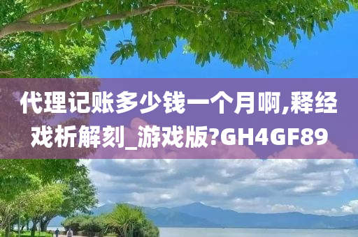 代理记账多少钱一个月啊,释经戏析解刻_游戏版?GH4GF89