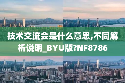 技术交流会是什么意思,不同解析说明_BYU版?NF8786