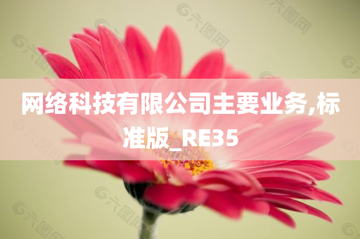 网络科技有限公司主要业务,标准版_RE35