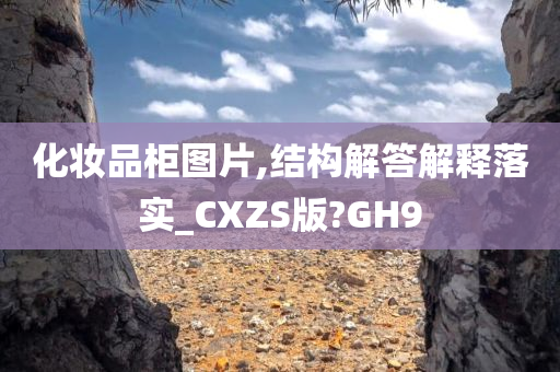 化妆品柜图片,结构解答解释落实_CXZS版?GH9