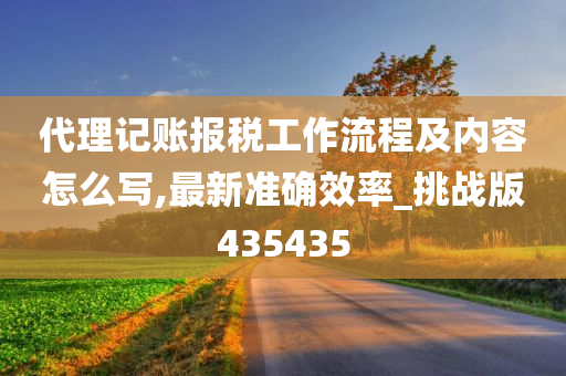 代理记账报税工作流程及内容怎么写,最新准确效率_挑战版435435