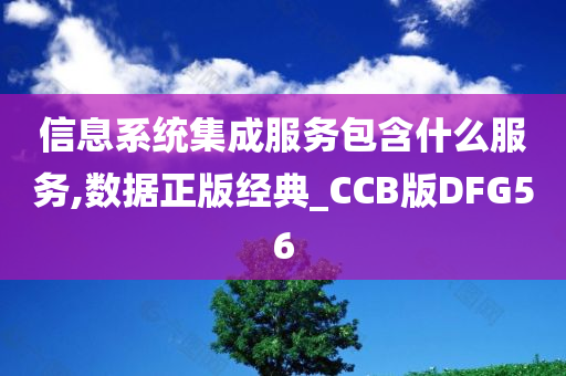 信息系统集成服务包含什么服务,数据正版经典_CCB版DFG56