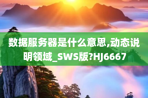 数据服务器是什么意思,动态说明领域_SWS版?HJ6667