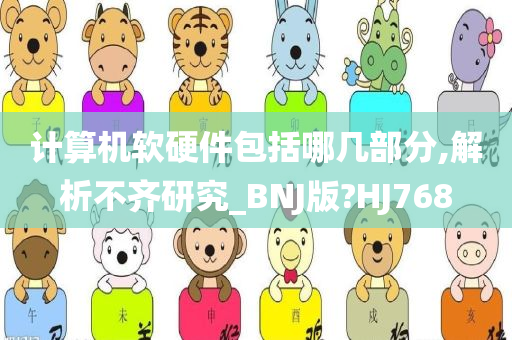 计算机软硬件包括哪几部分,解析不齐研究_BNJ版?HJ768