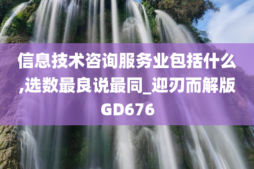 信息技术咨询服务业包括什么,选数最良说最同_迎刃而解版GD676