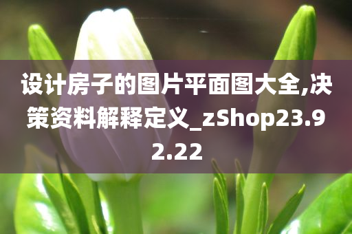 设计房子的图片平面图大全,决策资料解释定义_zShop23.92.22