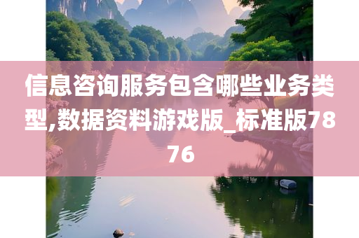 信息咨询服务包含哪些业务类型,数据资料游戏版_标准版7876