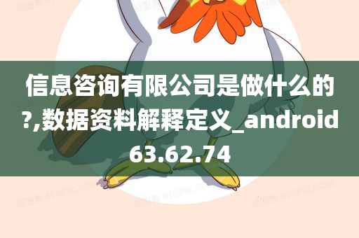 信息咨询有限公司是做什么的?,数据资料解释定义_android63.62.74