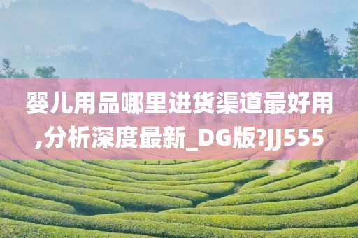 婴儿用品哪里进货渠道最好用,分析深度最新_DG版?JJ555