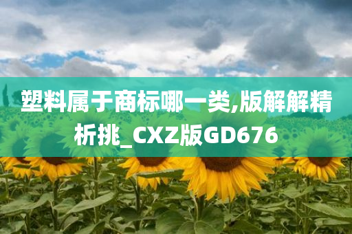 塑料属于商标哪一类,版解解精析挑_CXZ版GD676