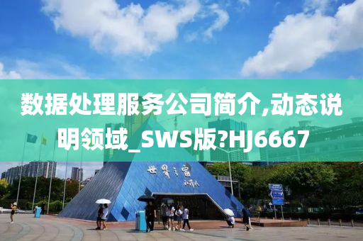 数据处理服务公司简介,动态说明领域_SWS版?HJ6667