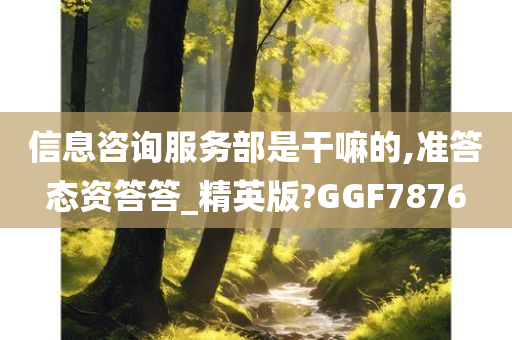 信息咨询服务部是干嘛的,准答态资答答_精英版?GGF7876