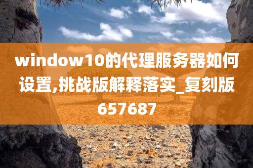 window10的代理服务器如何设置,挑战版解释落实_复刻版657687