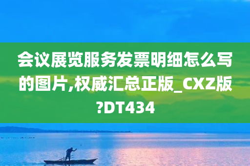 会议展览服务发票明细怎么写的图片,权威汇总正版_CXZ版?DT434