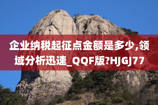 企业纳税起征点金额是多少,领域分析迅速_QQF版?HJGJ77