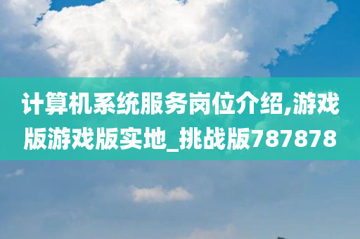 计算机系统服务岗位介绍,游戏版游戏版实地_挑战版787878